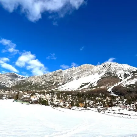 Fiore Dell'alpe
